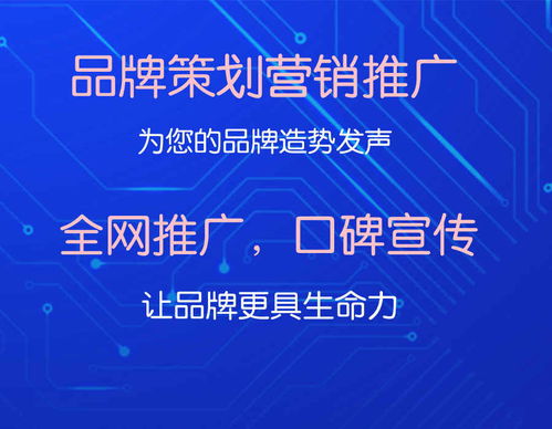 全網內容推廣的法律風險與可行性分析